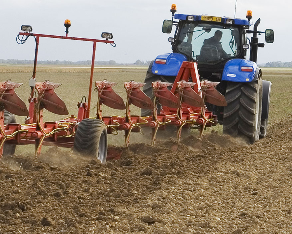 Impact des Adventices et Techniques de Labour sur le Rendement du Blé Tendre